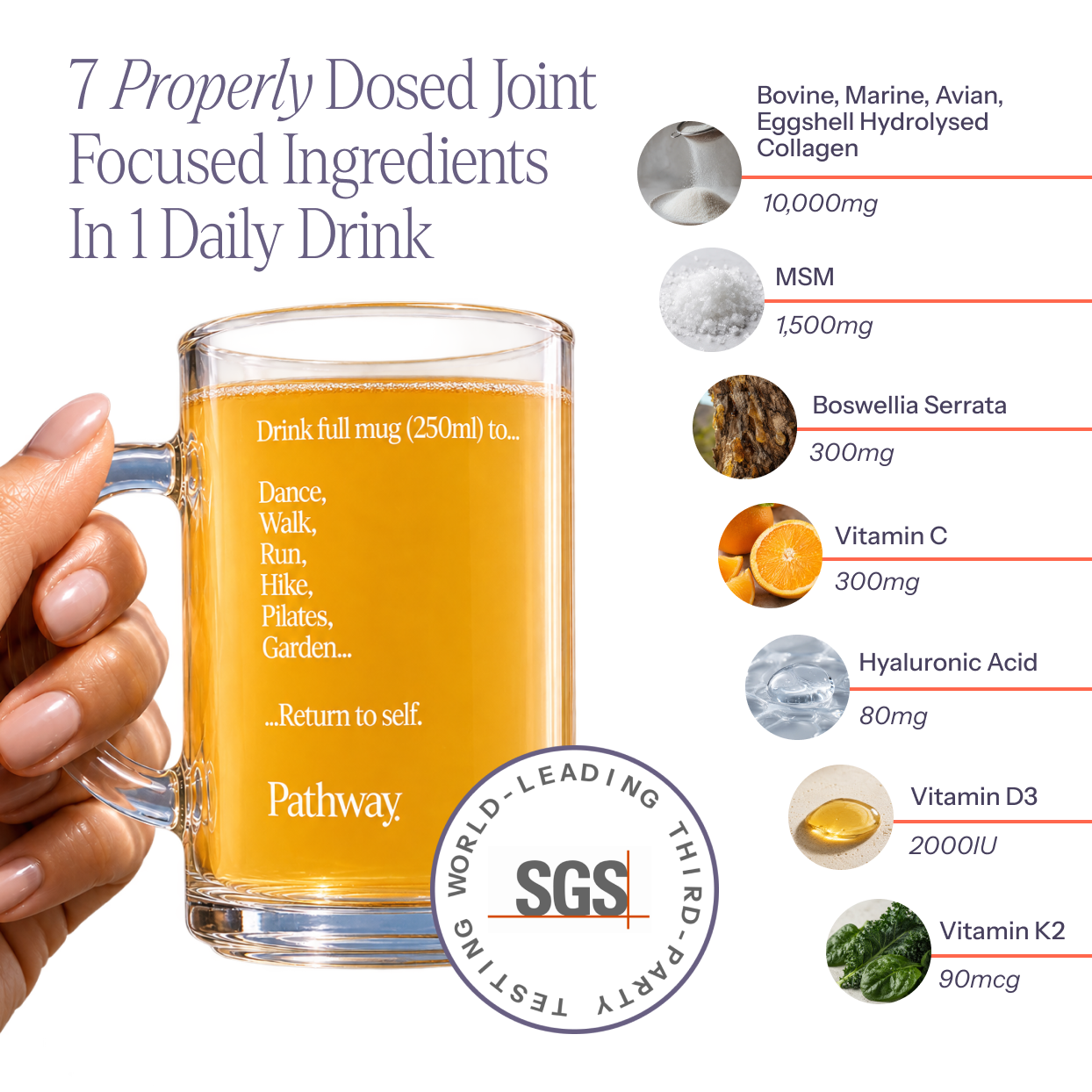 Joint Support (7-in-1)